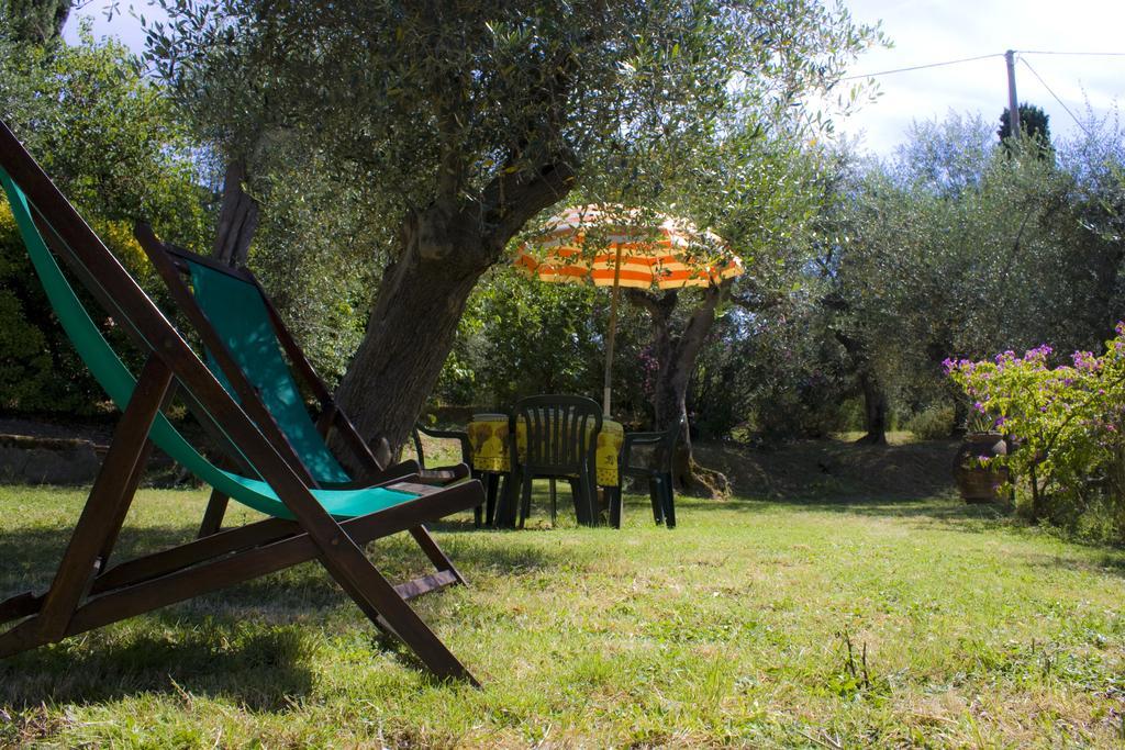 Fattoria Di Camporomano Massarosa Oda fotoğraf