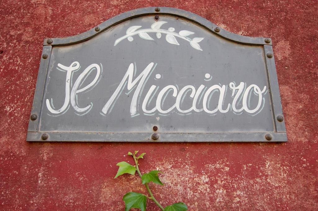 Fattoria Di Camporomano Massarosa Oda fotoğraf
